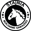 Domki letniskowe i nauka jazdy konnej Wielenin